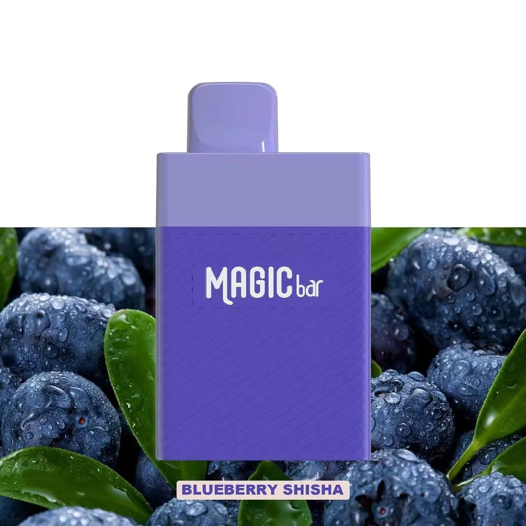 Original Magic Bar Low Price Fast Shipping 15ml 8000puffs Rechargeable Disposable E-Cigarettes Vape